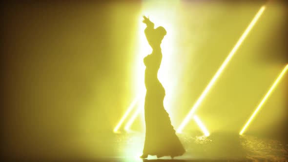 3D Animation  Silhouette Belly Dancer In Lighting Stage alt