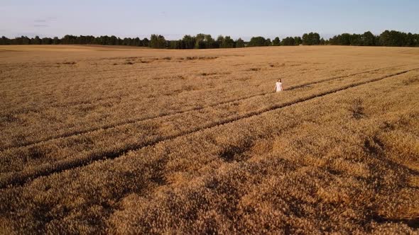 Cinematic slow motion video of a young girl in the field of rye