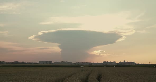 Beautiful Background of Sunset Above Spacious Wheat Fields alt