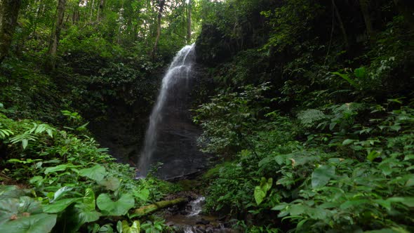 Jungle waterfall in the amazon. alt