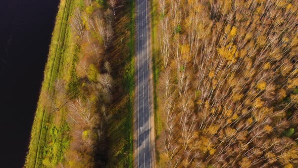 Road in the Autumn Forest Aerial View alt