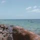 Tropical beach coast view (Martinique, France) - VideoHive Item for Sale