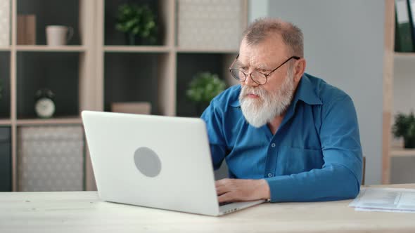 Confident Elderly Bearded Business Male Working Typing Use Laptop at Desk in Comfortable Home alt