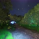 A Butterfly That Shines With Fireflies And Flies Over A Beautiful Forest (3)