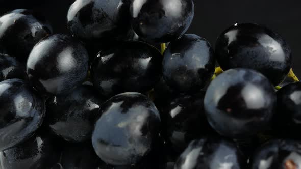Dark blue grape on black background