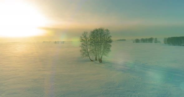 Aerial View of Cold Winter Landscape Arctic Field Trees Covered with Frost Snow Ice River and Sun alt