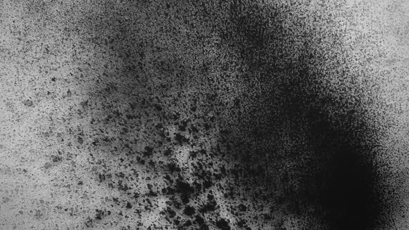 Powder Ink Being Poured alt