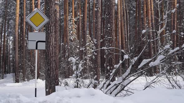 Road Sign a Priority Road in Snowy Forest
