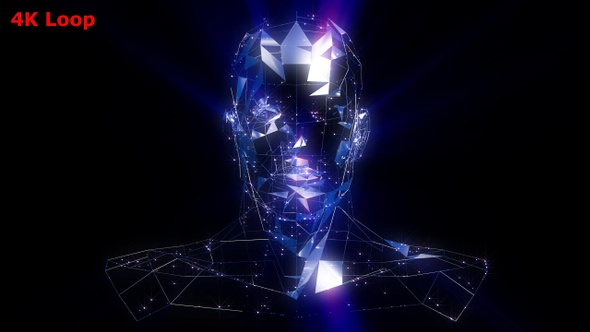 Digital Cyber Head