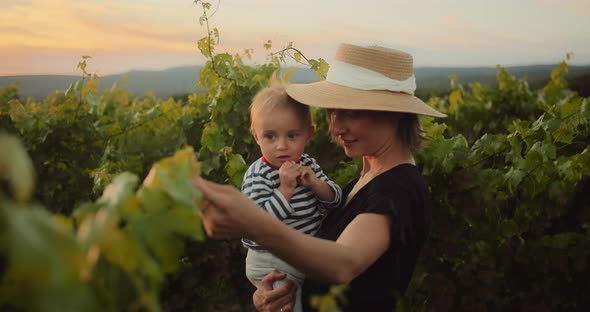 Happy Mother Enjoying Time with Her Cute Little Child in French Provence Vineyard During Summer alt