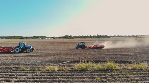 Potato Harvesting alt