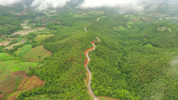 Aerial view morning forest on mountain and road with green mountains.