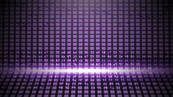 Purple Programming HEX Code