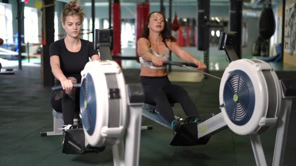 Wide Shot Portrait of Two Confident Concentrated Sportswomen Working Out on Gym Pull Machine Indoors alt