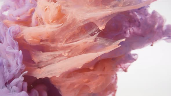 Blue and Red Ink Splash Isolated on White Background alt