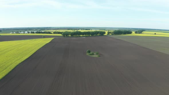 Drone View of Plowed Soil and Blooming Fields alt