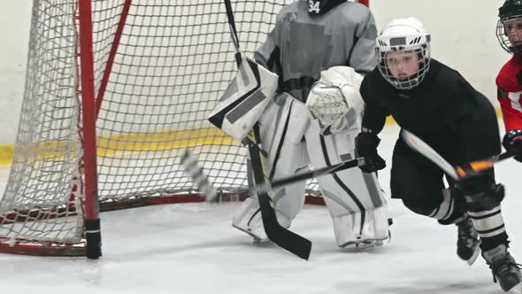 Novice Forwards Fighting for Puck alt
