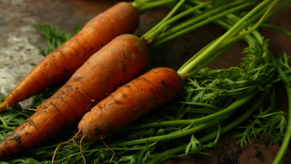 Nice Carrots with Haulm on the Black Rustic Background