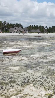 Tanzania  Vertical Video of Low Tide in the Ocean Near the Coast of Zanzibar Slow Motion alt