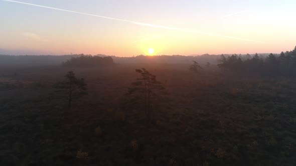 Flying Up Over Foggy Swamp Landscape at Sunrise