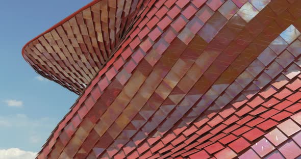 Architectural Metal Red Pattern