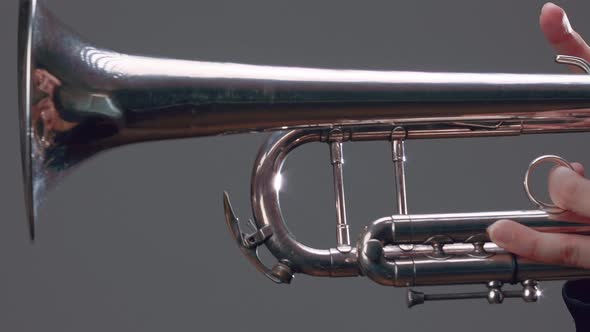 Trumpeter Playing Music Jazz Instrument 