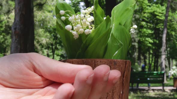 loving couple hold hands together on a park cafe table.lily of the valley background. close up 4k.fa alt