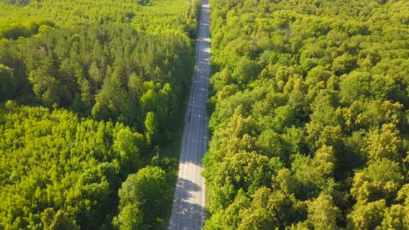 Cars On The Forest Road