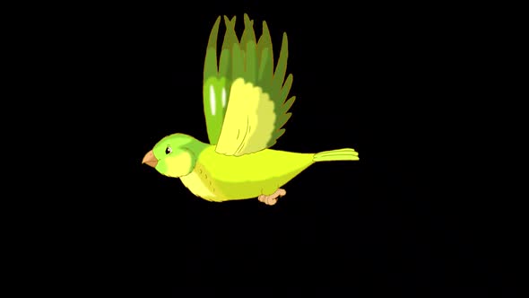Green canary flies alpha matte HD