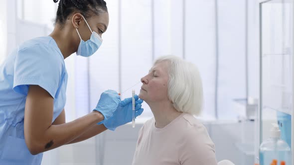 Young Female Medical Worker in Protective Mask and Gloves Taking PCR Test Sample From Nose of Woman alt