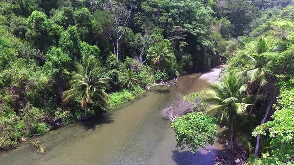 Virgin Unspoiled Caribbean Tropical Corcovado River 