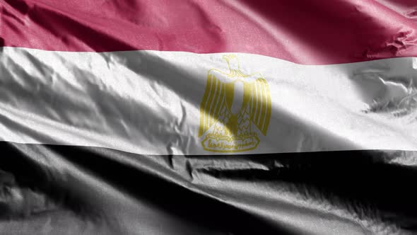 Ecuador textile flag waving on the wind. Slow motion. 20 seconds loop.  alt