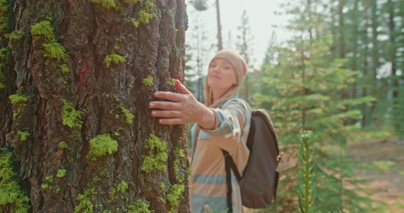 Human Take Care About Nature. Hand of Female Gently Touches Tree Bark in Forest alt