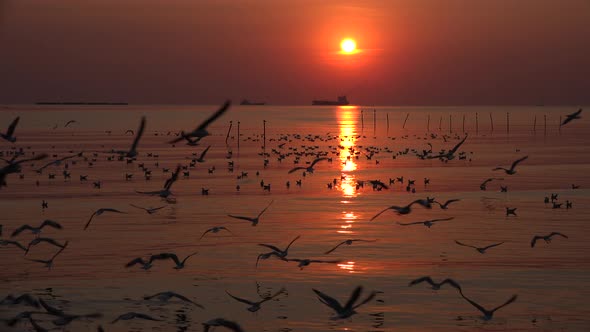 Seagulls flying over the ocean at sunset.