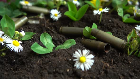 Bullet casings fall to the ground and chamomile flowers. Slow motion. alt