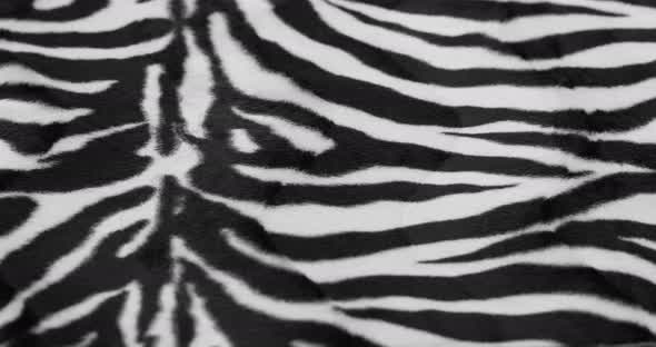 Zebra Fur Fabric Closeup alt