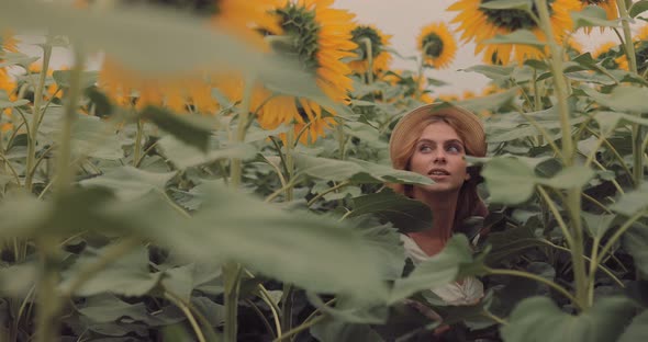 Girl in the Hat Goes Through the Tall Sunflowers