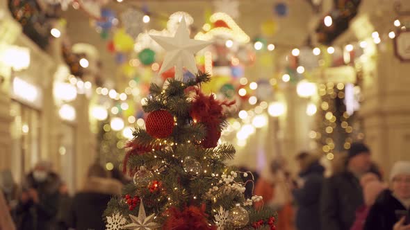 Christmas Tree in Illuminated Pavilion
