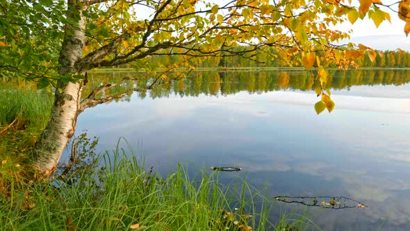 Autumn Nature Landscape of Finland - Golden Birch Leaves and Lake with Sky Reflection alt