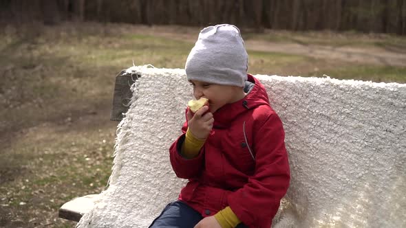 Child Eating Apple on Bench in Park
