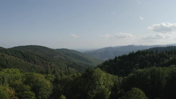 Arial Drone Shot Birds Eye View Green Forest Valley 