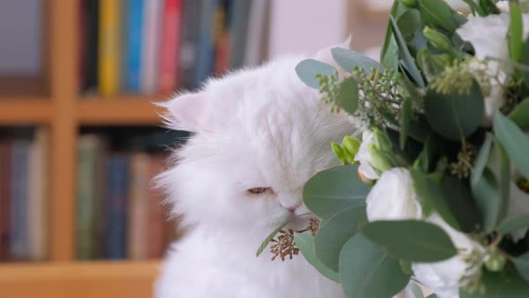 Beautiful White Cat Is Eating Flowers alt