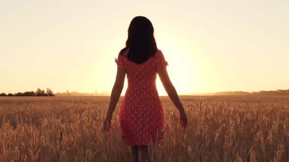 A Girl in a Red Dress Walks Among Ripe Wheat in a Field During Sunset. Freedom, Agriculture alt