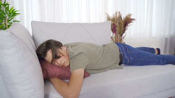 Sleeping on the sofa. alt