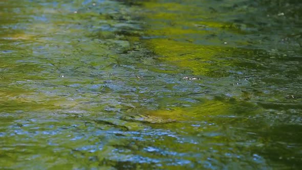 Greenish Ripples on the River Water