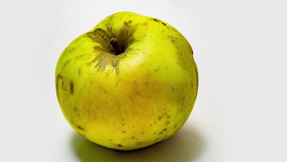 Time Lapse of Apple Rot alt