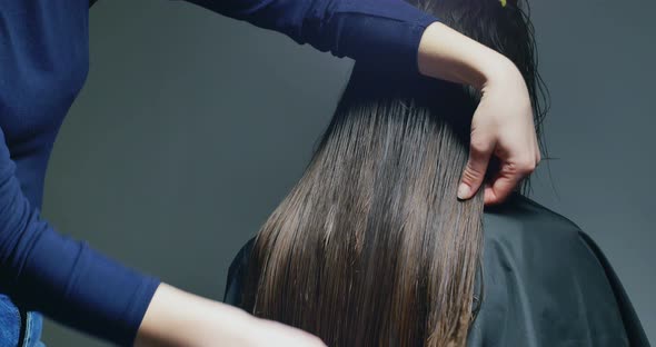 Woman Stylist Combing Hair. Hair Preparing alt
