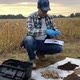 Agronomist Preparing Measurement By Using Digital Soil Tester Outdoors - VideoHive Item for Sale