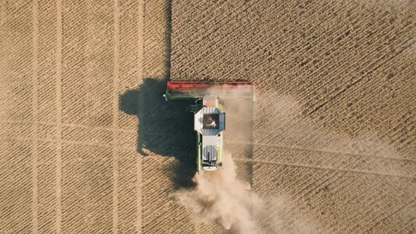 Top Down View of Harvester Machine Working in Wheat Fiel, Combine Agriculture Machine Harvesting alt