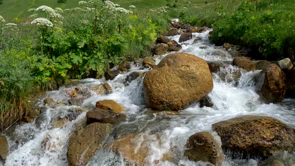 Crystal Clear Water of a Magically Looking Mountain Stream Running To a Waterfall alt